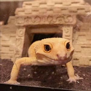 Meet your Posher, Mariah